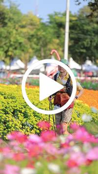 BIB:  <button type="button" onclick="openModal(27583781)" class="btn btn-primary btn-sm float-right" data-toggle="modal" data-target=".modal-high-quality">
                <i class="fa fa-download"></i> Download
                </button>